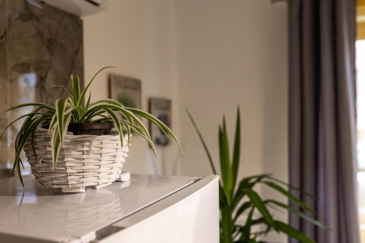Studio Apartman Planb, Self Check In Osijek Exteriör bild